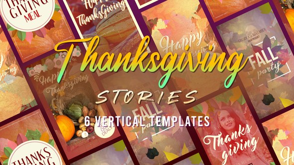 Videohive Thanksgiving Stories Product Promo template preview