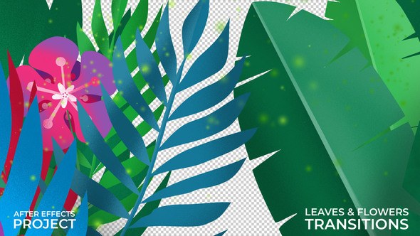 Videohive Leaves & Flowers Transitions Elements template preview