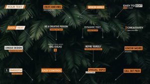 Videohive Call Outs 59186660 Infographics template preview