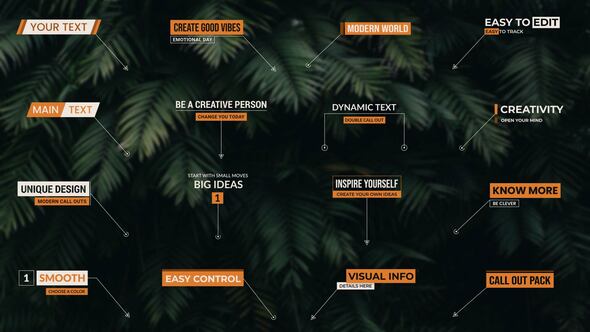 Videohive Call Outs 59186660 Infographics template preview