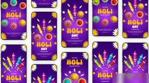 Videohive Indian Festival Holi Instagram Story 56555697 Elements template preview