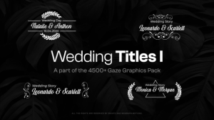 Videohive Elegant Wedding Titles Titles template preview