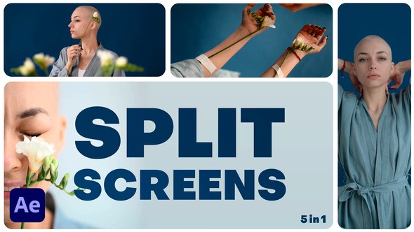Videohive Multiscreen Transitions - 4 Split Screen - Vol. 02 Elements template preview
