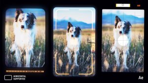 Videohive Vertical Camera Viewfinder Overlay Effects | After Effects Elements template preview