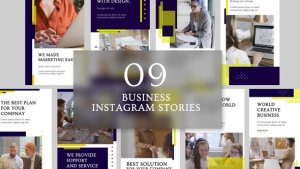 Videohive Business Instagram Story B22 Product Promo template preview