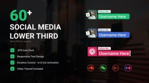 Videohive Social Media Lower third 49871316 Elements template preview