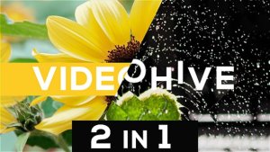 Videohive Dynamic Typo Opener 2 in 1 Openers template preview