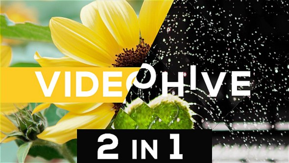 Videohive Dynamic Typo Opener 2 in 1 Openers template preview