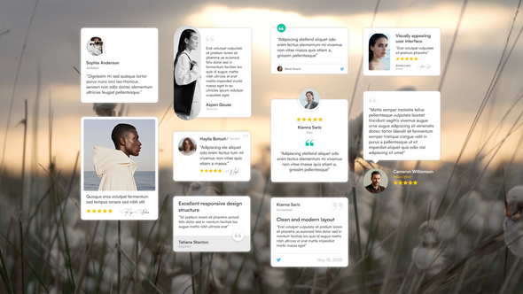 Videohive Testimonials, Reviews & Quotes - After Effects Template 60721516 Elements template preview