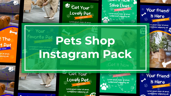Videohive Pets Vertical Instagram Template Openers template preview