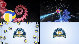 Videohive Volleyball Logo Reveal 5 Logo Stings template preview