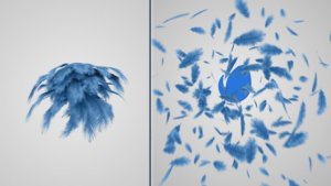 Videohive Feathers Logo Reveal Logo Stings template preview