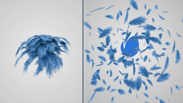 Videohive Feathers Logo Reveal Logo Stings template preview