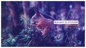 Videohive Elegant Slideshow 16579036 Video Displays template preview