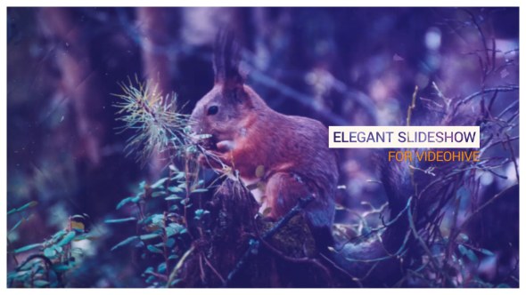 Videohive Elegant Slideshow 16579036 Video Displays template preview