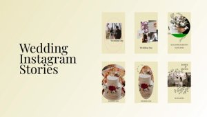 Videohive Wedding Instagram Stories 45640359 Titles template preview