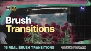 Videohive Brush Transitions 56906650 Elements template preview