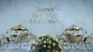 Videohive Sweet Wedding Memories Video Displays template preview