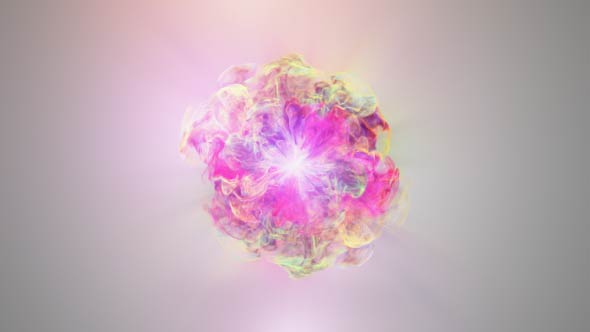 Videohive Colorful Flowers Logo Reveal Logo Stings template preview