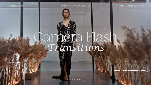 Videohive Camera Flash Transitions Elements template preview
