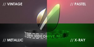 Videohive Logo Sting 4 Styles Logo Stings template preview