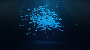 Videohive School Of Fish Logo Reveal Logo Stings template preview
