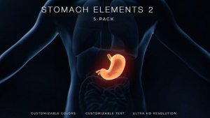 Videohive Stomach Elements 2 Elements template preview