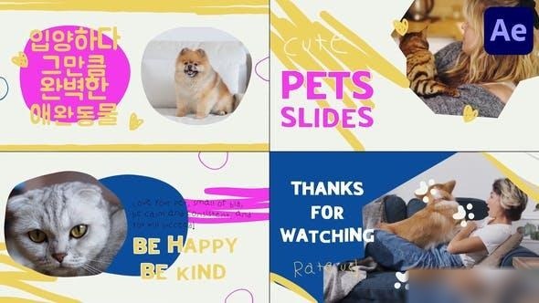 Videohive Pets Slides | After Effects 48047191 Openers template preview