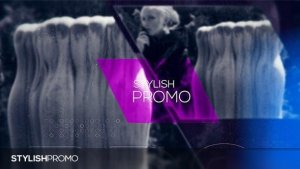 Videohive Stylish Promo 19599686 Openers template preview