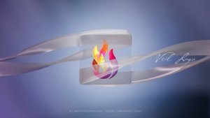 Videohive Veil Logo | After Effects Openers template preview