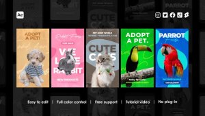 Videohive Veterinary Instagram Reels Product Promo template preview