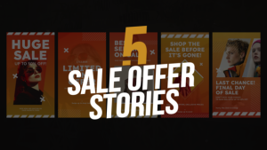 Videohive Sale Offer Stories Product Promo template preview