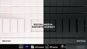Videohive The Social Media Experts Logo Stings template preview