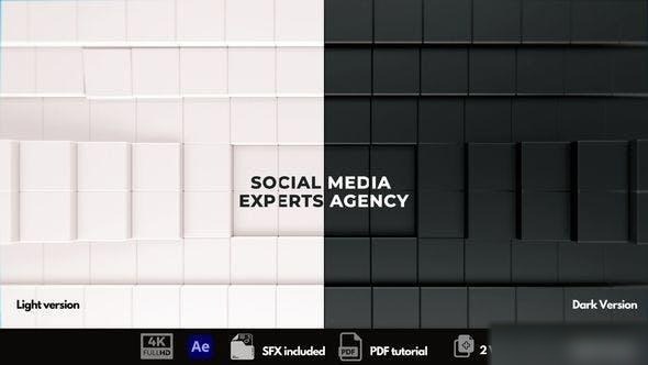 Videohive The Social Media Experts Logo Stings template preview