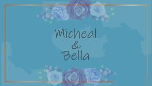 Videohive Wedding Invitation 44126944 Openers template preview
