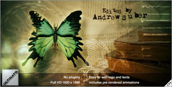 Paranormal Video Displays template preview