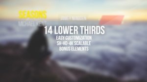 Simple Clean Lower Thirds Video Displays template preview
