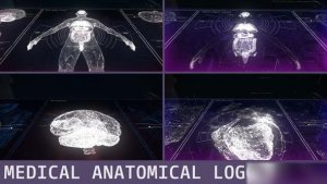 Videohive Medical Anatomical Logos Pack Logo Stings template preview
