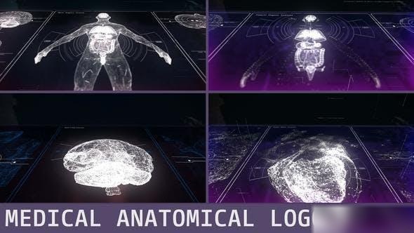 Videohive Medical Anatomical Logos Pack Logo Stings template preview