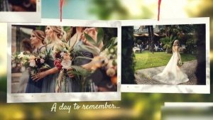 Videohive Wedding Photo Slideshow 52270539 Openers template preview