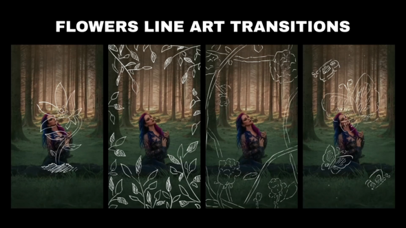 Videohive Flowers Line Art Transition for After Effects Elements template preview