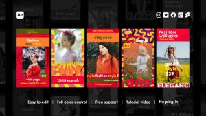 Videohive Trendy Instagram Reels 43429269 Product Promo template preview