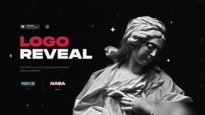 Videohive Logo Reveal 38418473 Logo Stings template preview
