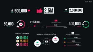 Videohive Social Media 57322852 Infographics template preview