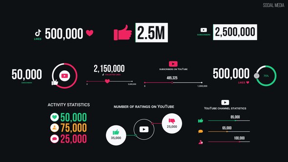 Videohive Social Media 57322852 Infographics template preview