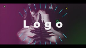 Videohive Stomp Opener 22742737 Logo Stings template preview