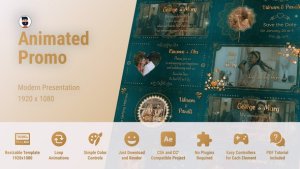 Videohive Wedding Indian Invitation Video Displays template preview