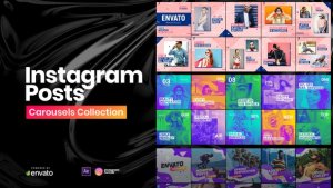 Instagram Posts Collection Video Displays template preview