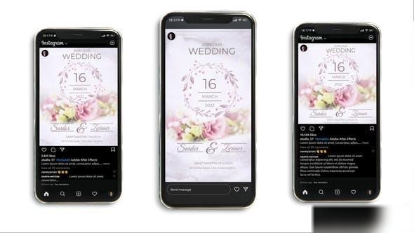 Videohive Wedding Invitation Instagram (3 in 1) Openers template preview