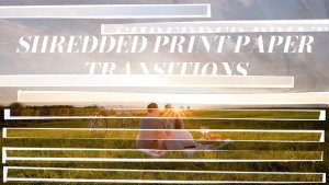 Videohive Shredded Paper Transitions | Vertical | After Effects Elements template preview